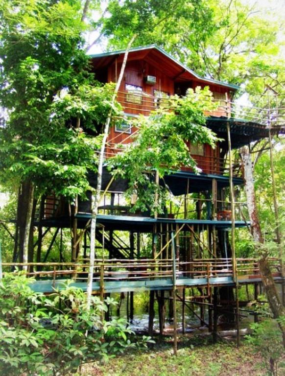 Ariau Amazon Towers Villa Manaus Kültér fotó